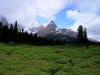 Horn in Banff National Park
