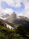 Horn in Banff National Park