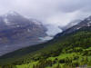 Saskatchawan Glacier in Banff National Park