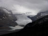 Saskatchewan Glacier in Banff National Park