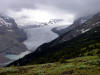 Saskatchewan Glacier in Banff National Park
