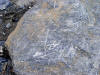 Striated boulder near Athabasca Glacier in Alberta, Canada