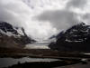 Athabasca Glacier in 2005