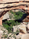 Sipapu Bridge at Natural Bridges Nat Mon in Utah