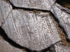 Glacial polish on basalt at Devils Postpile