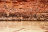 Top of Coconino Sandstone