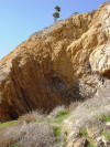 Recumbent fold in Palos Verdes Peninsula