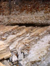Angular Unconformity at Montana del Oro State Beach, California
