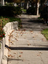 Offset retaining wall in Hollister on Calaveras fault