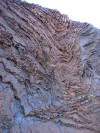 Syncline in chert on the Marin Headlands, California