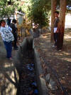 Offset culvert at DeRose Winery on San Andreas Fault