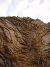 Syncline in chert on the Marin Headlands, California