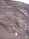 Anticline in chert on the Marin Headlands, California