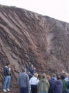 Syncline in chert on the Marin Headlands, California