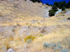Double scarp and offset channel from 1954 Fairview Peak earthquake