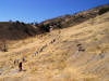 Fairview Peak fault scarp from 1954 earthquake in central Nevada (Mag 7.1-7.3)
