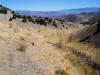 Fairview Peak fault scarp and trench from 1954 earthquake in central Nevada (Mag 7.1-7.3)