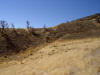Fairview Peak fault scarp from 1954 earthquake in central Nevada (Mag 7.1-7.3)
