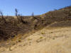 Fairview Peak fault scarp from 1954 earthquake in central Nevada (Mag 7.1-7.3)