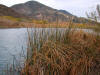 Lost Lake, a sag pond on the San Andreas fault