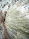 Slickensides in San Antonio Canyon, San Gabriel Mtns