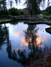 DSC00914 Park at Hilo.jpg (184015 bytes)