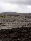 DSC01069 Mauna Ulu.jpg (270625 bytes)