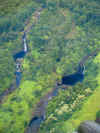 DSC01484 Hilo area waterfalls.jpg (415254 bytes)