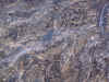 DSC01555 Breakout zone with Pahoehoe.jpg (480629 bytes)