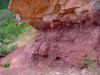 Disconformity between Hermit fm and Coconino Sandstone