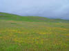 Shutter Ridge on the San Andreas fault in Carrizo Plains National Monument