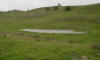 Sag Pond along the San Andreas fault on the Carrizo Plains
