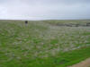 Terrace and scarp on the San Andreas fault in Carrizo Plains National Monument