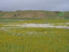 Scarp at Wallace Creek on the San Andreas fault in Carrizo Plains National Monument