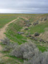 Offset stream at Wallace Creek, Carrizo Plains