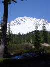 Shasta in June