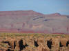 Raplee anticline