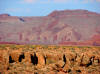 Raplee Anticline, more a monocline, near Mexican Hat, Utah
