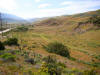Linear valley and depressions on San Andreas near Gorman CA