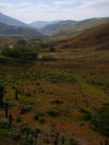 Linear valley on San Andreas near Gorman CA