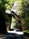 Arch Rock