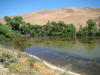 Sag pond on San Andreas fault near Gorman CA