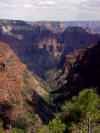 Disconformities at the Transcept at the North Rim of Grand Canyon
