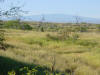 Mauna Loa from Waimea area