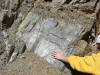 slickensides in Del Puerto Canyon, Coast Ranges, California