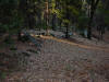 El Capitan moraine