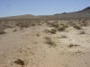 Mole track on Landers fault