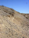 Scarp from 1992 Landers quake on hillside