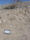 Face of scarp from the 1992 Landers earthquake