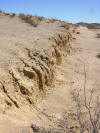 Erosion on scarp of 1992 Landers quake, taken in 2003